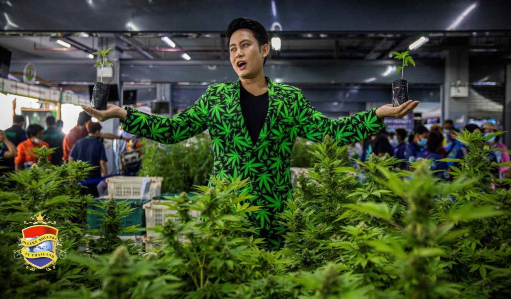 De tijd voor het goedkeuren van de cannabiswet in Thailand verstrijkt langzaam maar zeker!