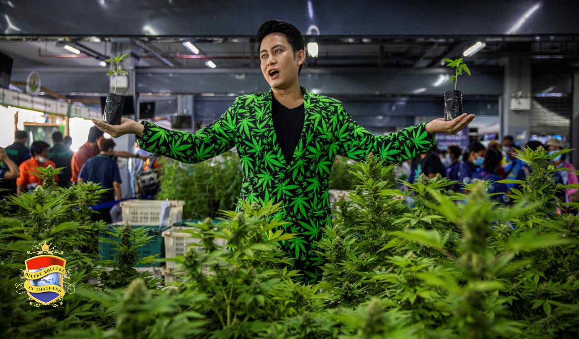 De tijd voor het goedkeuren van de cannabiswet in Thailand verstrijkt langzaam maar zeker!