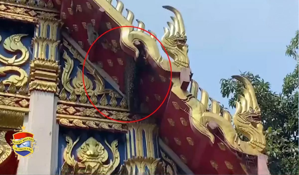Luide tempelmuziek veroorzaakt in Noordoost-Thailand woede bij een zwerm bijen, die vervolgens de bezoekers te lijf gingen