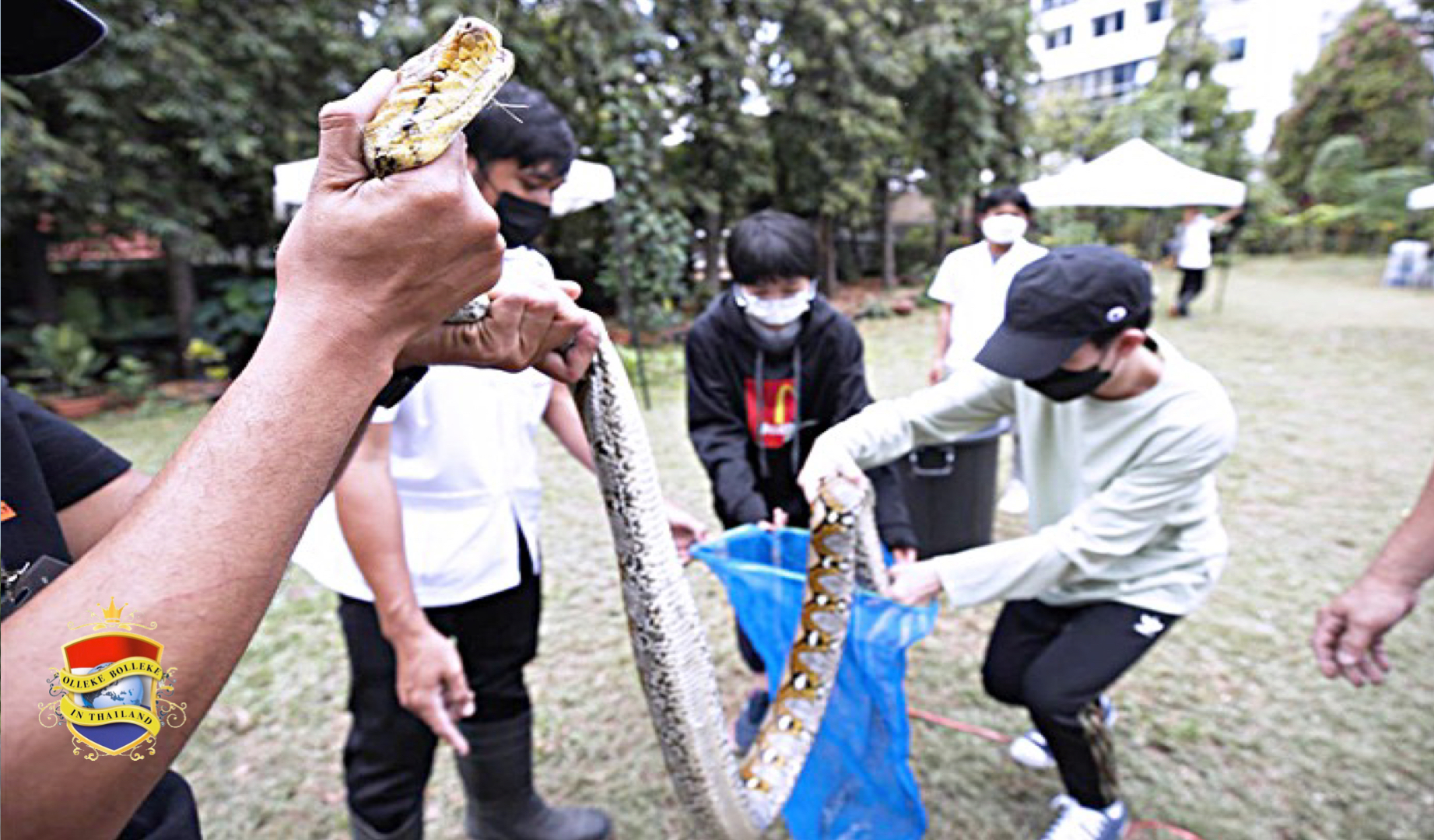Bangkokianen leren hoe ze slangen moeten vangen