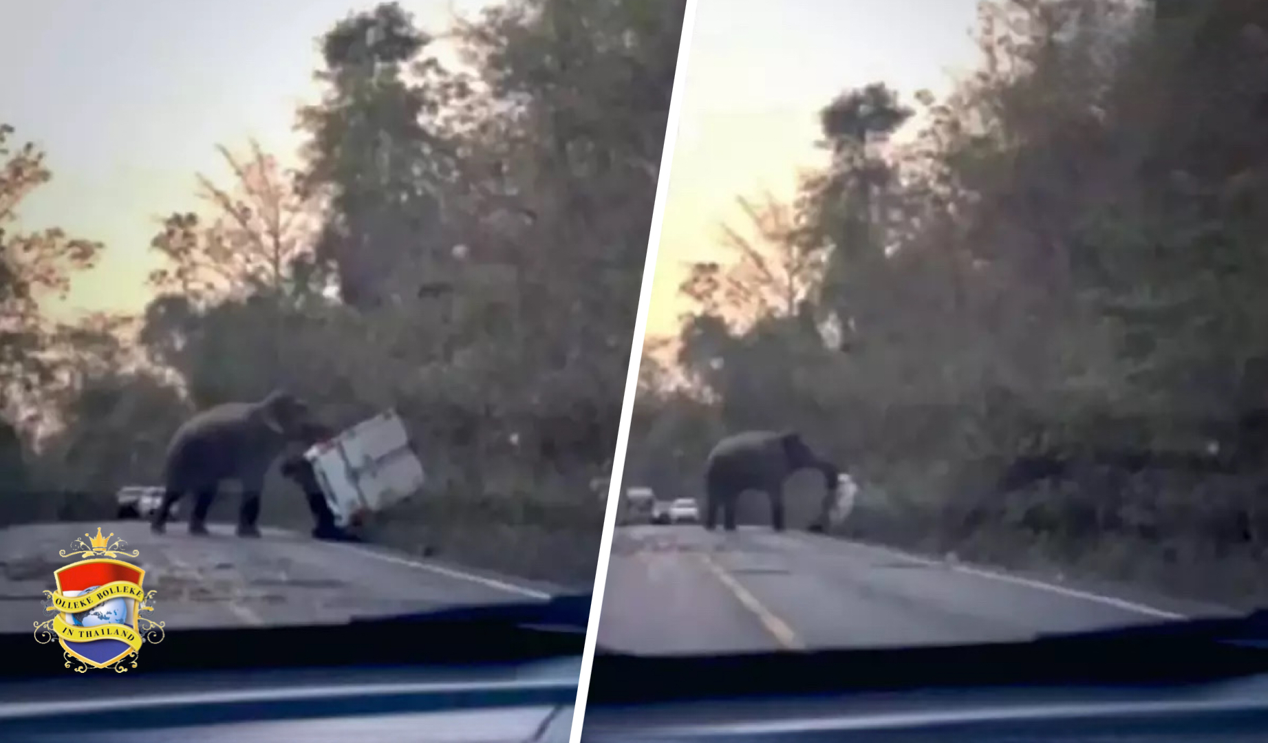 🎥 | Wilde olifant wipt in Thailand een passerende pick-up truck van de weg