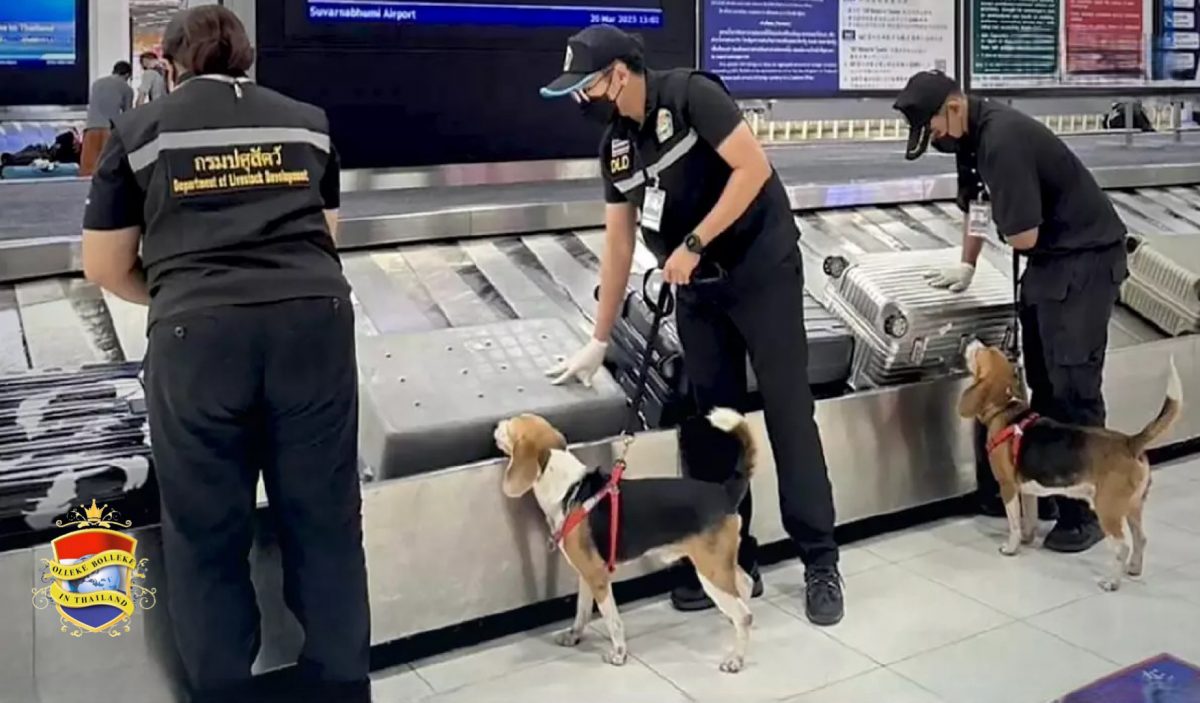 De speurhonden op vliegveld Suvarnabhumi worden druk bezig gehouden door Chinese bagage en ontdekte gerookte vleermuis, spek en eend