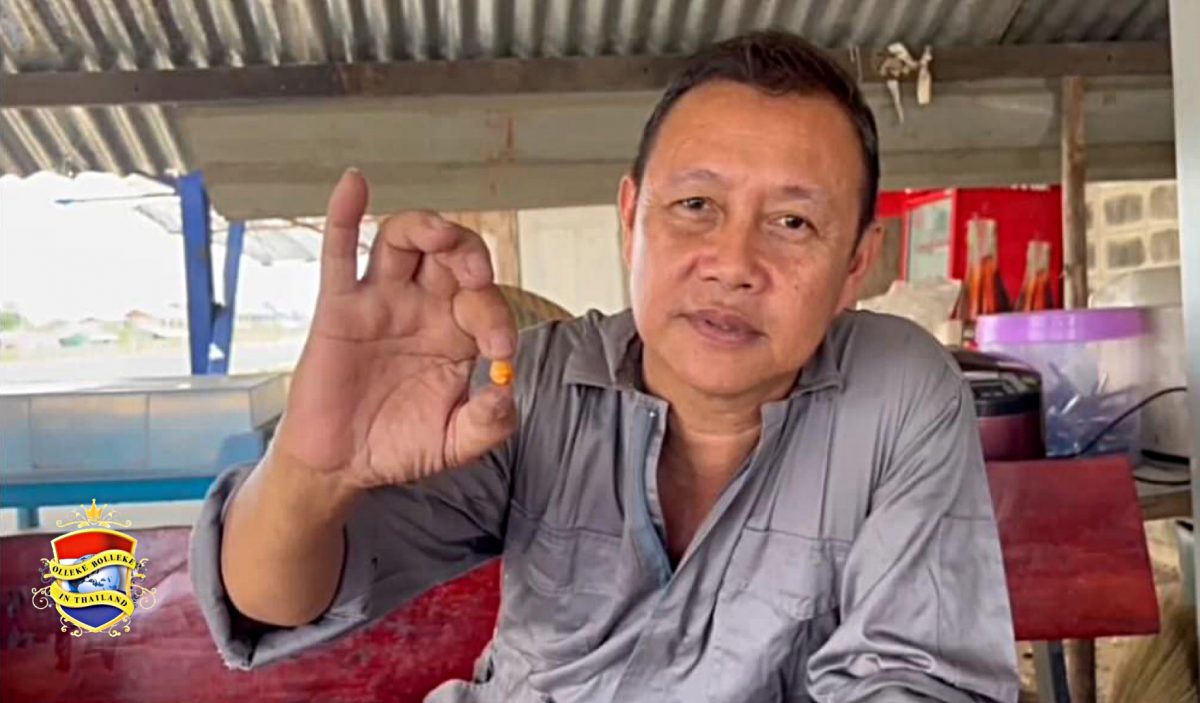 Thaise man vindt in Thailand een zeldzame behoorlijk dure Melo-parel in zijn avondeten