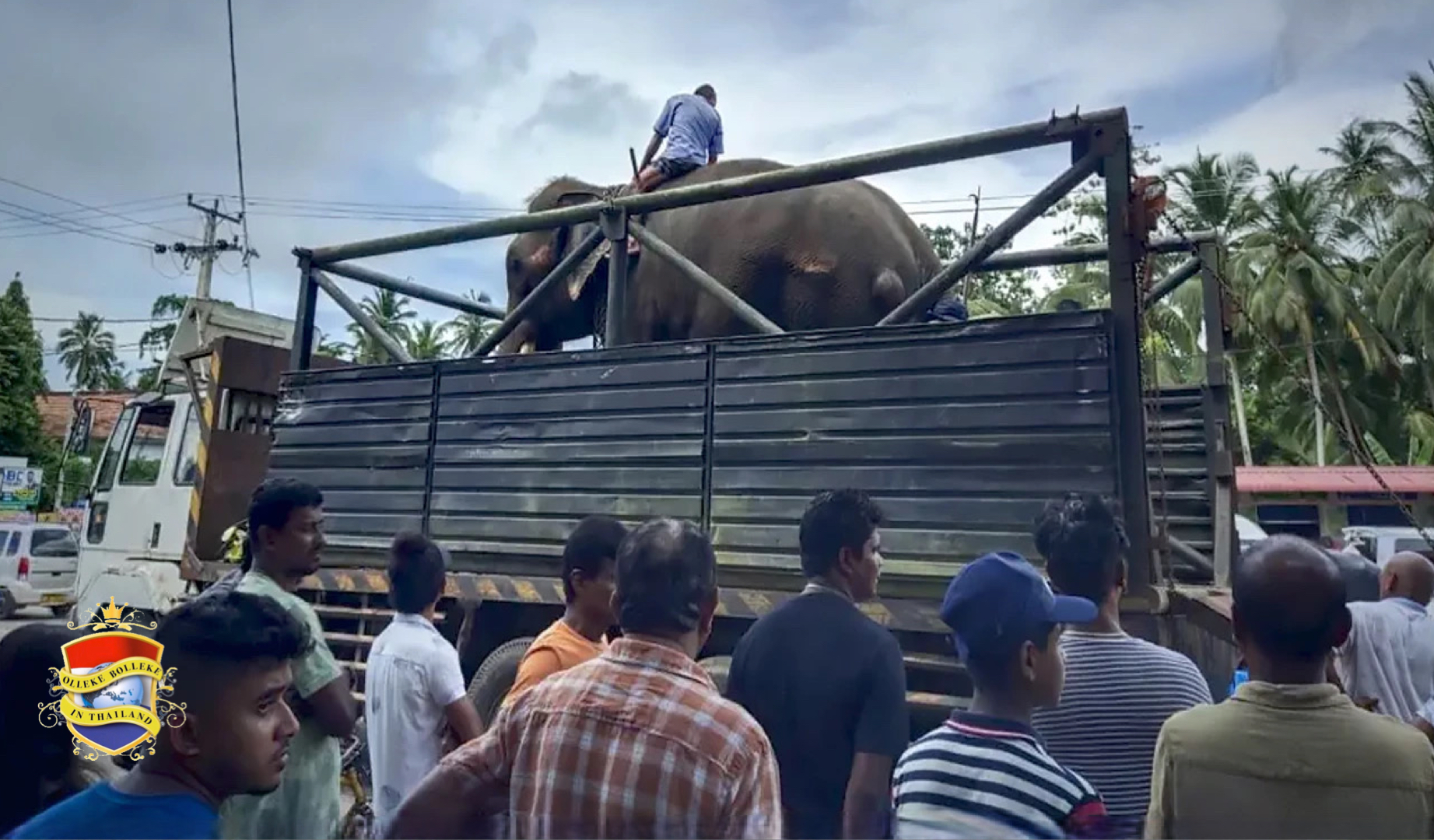 Thailand op zoek naar een manier om een zwaar mishandelde olifant weer thuis te krijgen