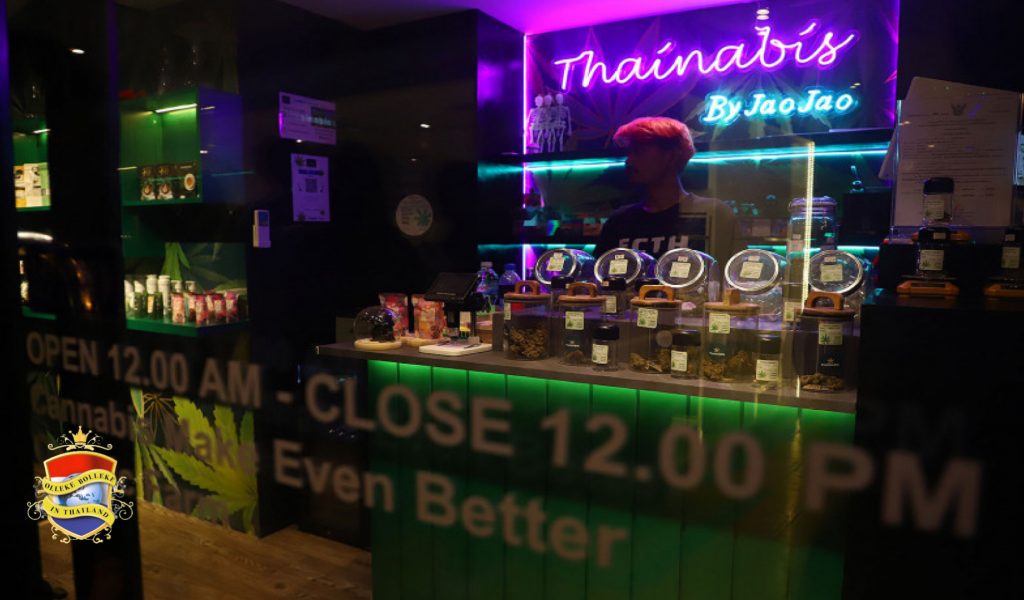 Het voor vandaag aangekondigde 420 wietfeestplan wakkert woede in Thailand aan