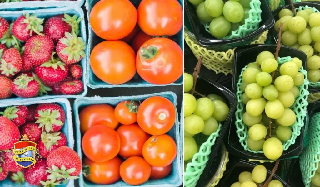 Het is toeristen niet toegestaan om vers fruit zonder certificaat naar Thailand mee te nemen.