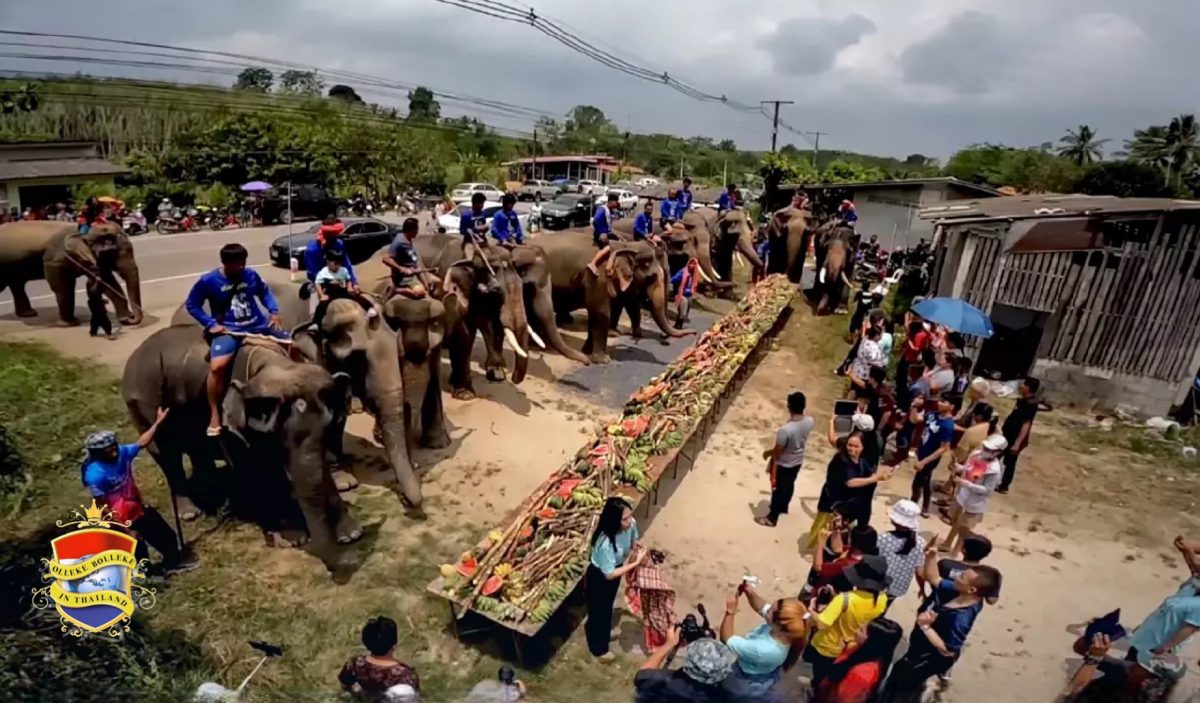 14 olifanten krijgen bij een unieke ceremonie in Zuid-Thailand een exquise buffet voorgeschoteld 