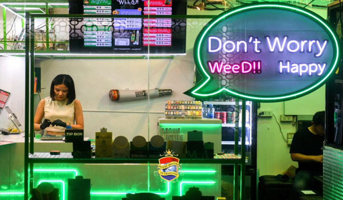 Het voorstel van de nieuwe regering om cannabis te classificeren als een verboden drug veroorzaakt paniek in Thailand