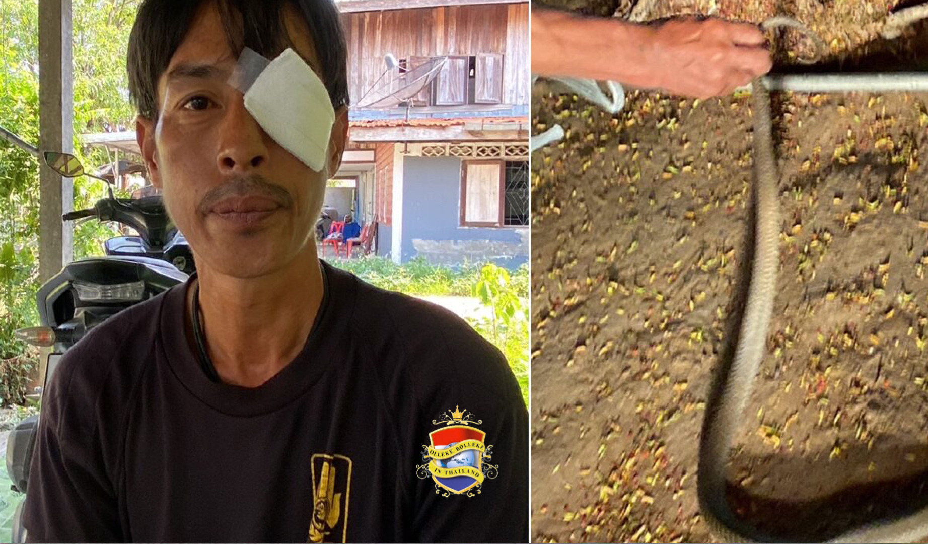 Cobra spuugt in Noordoost-Thailand gif in de ogen van een rampenpreventiemedewerker