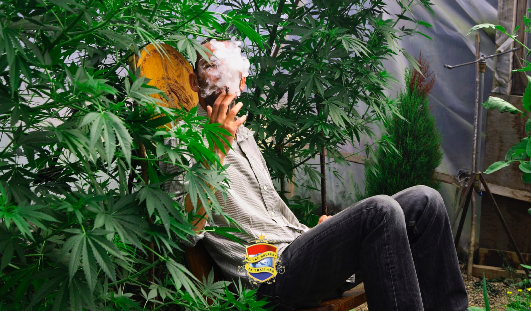 De dagen dat marihuana “vrijlijk” in Thailand gebruikt mag worden, zullen geteld zijn, tenminste als het aan de Move Forward Partij ligt