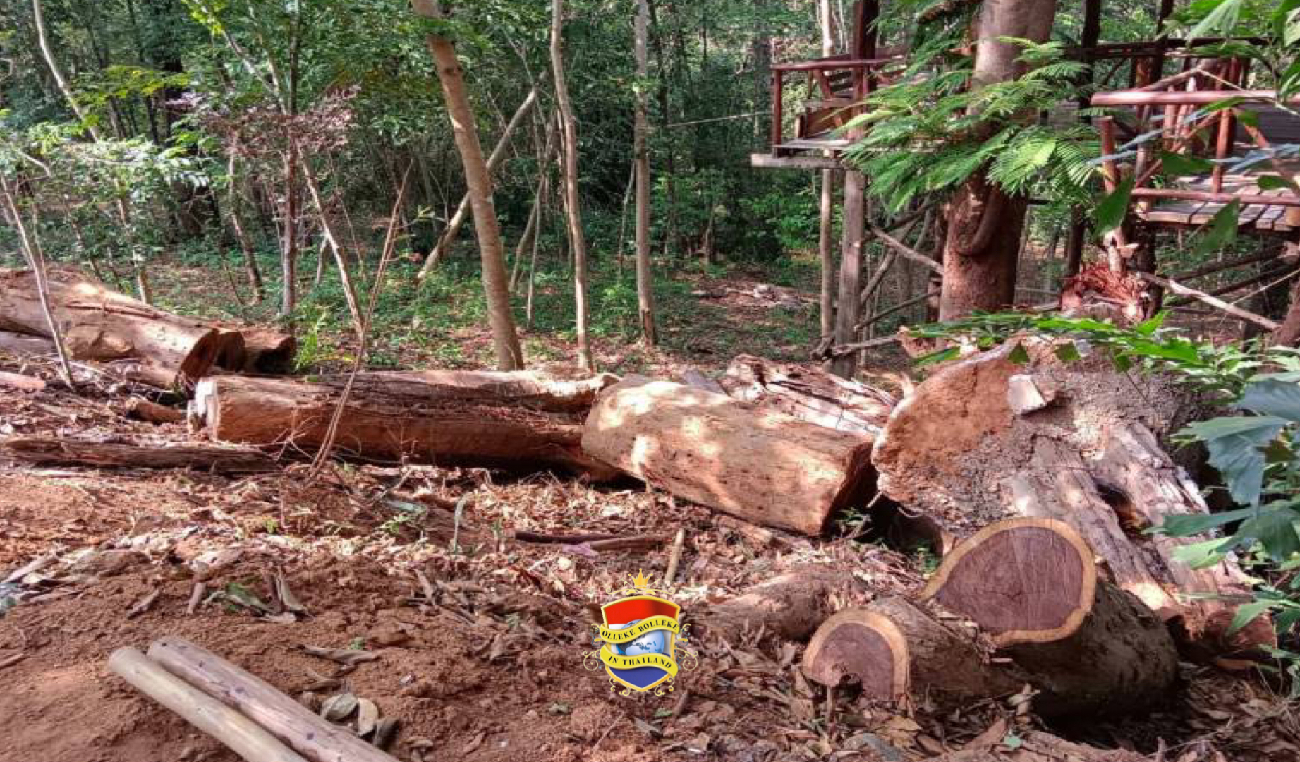 Gewapende bende berooft botanische tuin in Noordoost-Thailand