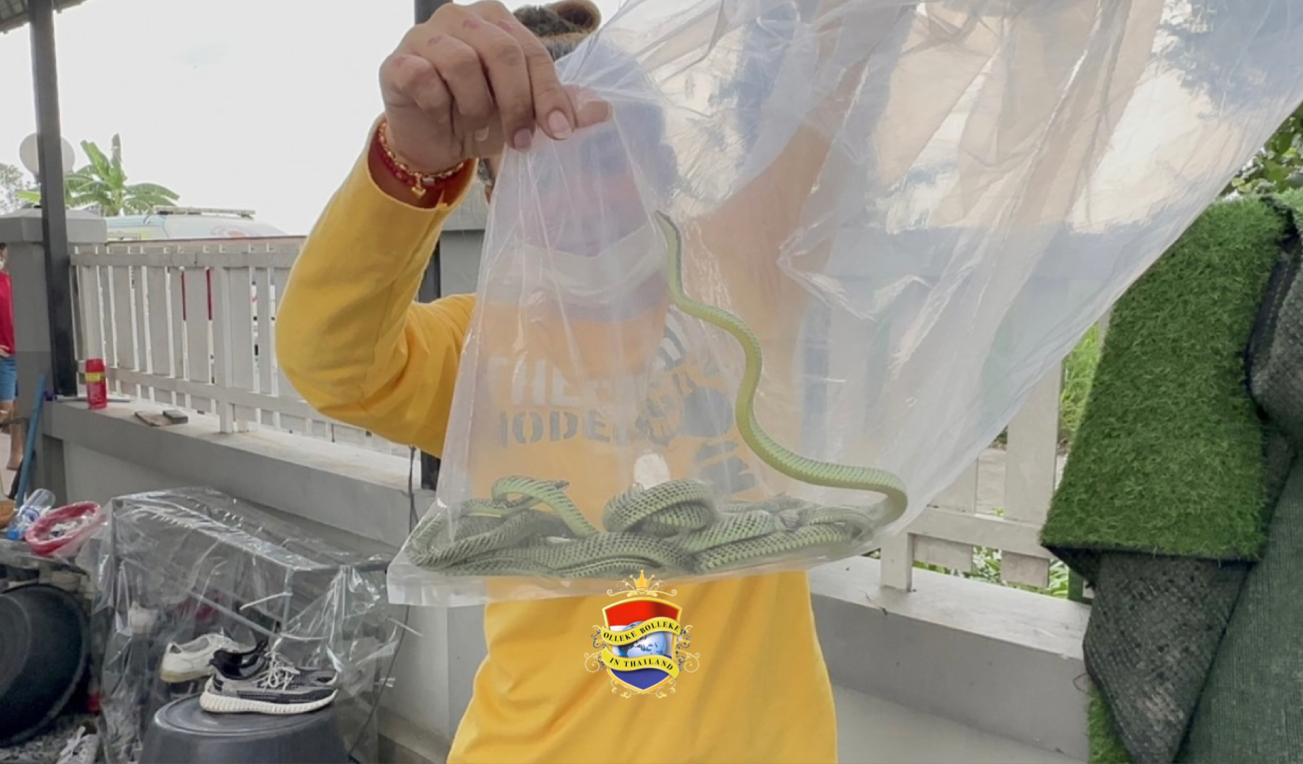 Thaise inwoner in Oost-Thailand sist zijn huis uit, na ontdekt te hebben dat zijn huis veranderd was in een slangenkuil