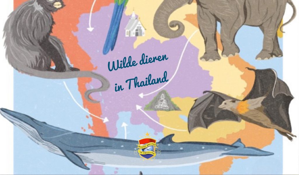 Thailand, met een jungle aan wilde dieren en oceanen met het meest mooie zeeleven