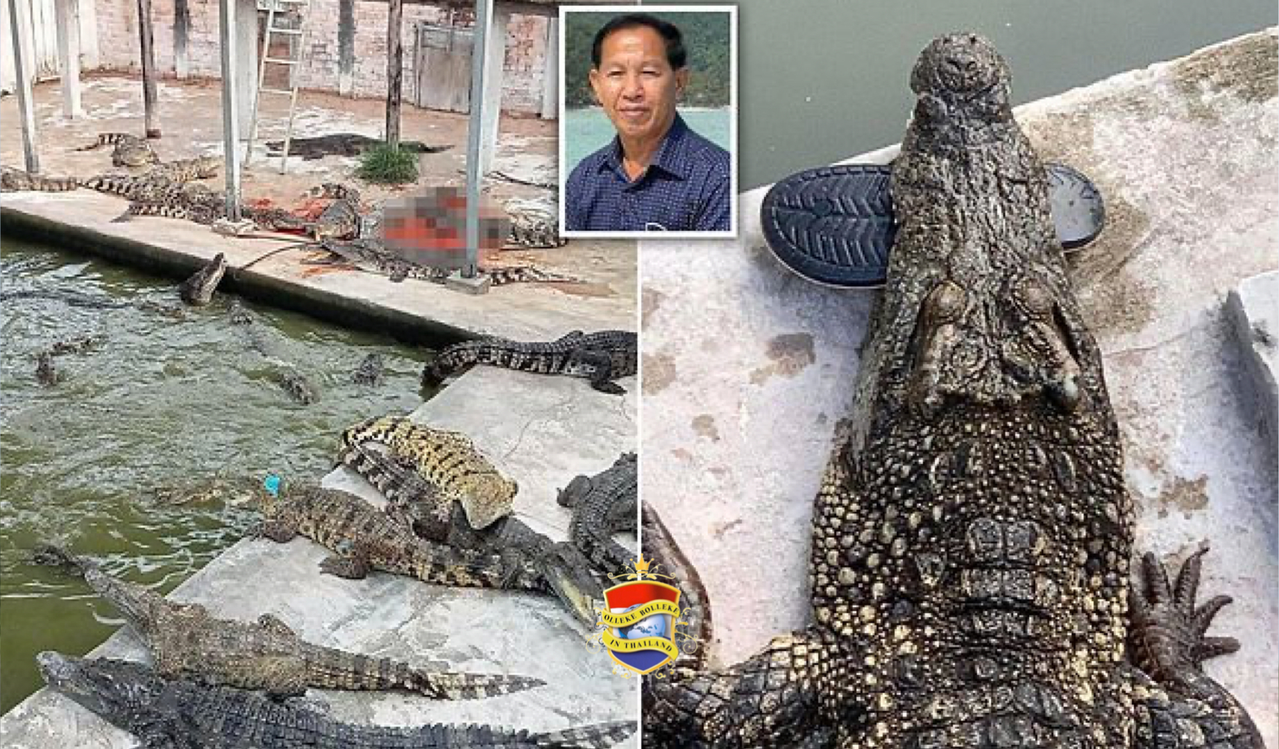 De 72-jarige boer door 40 krokodillen verscheurd nadat hij in hun verblijf viel