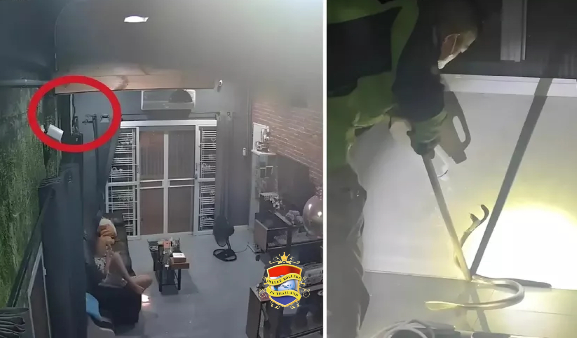 Tiener ontsnapt aan verwondingen wanneer een giftige slang op haar hoofd valt