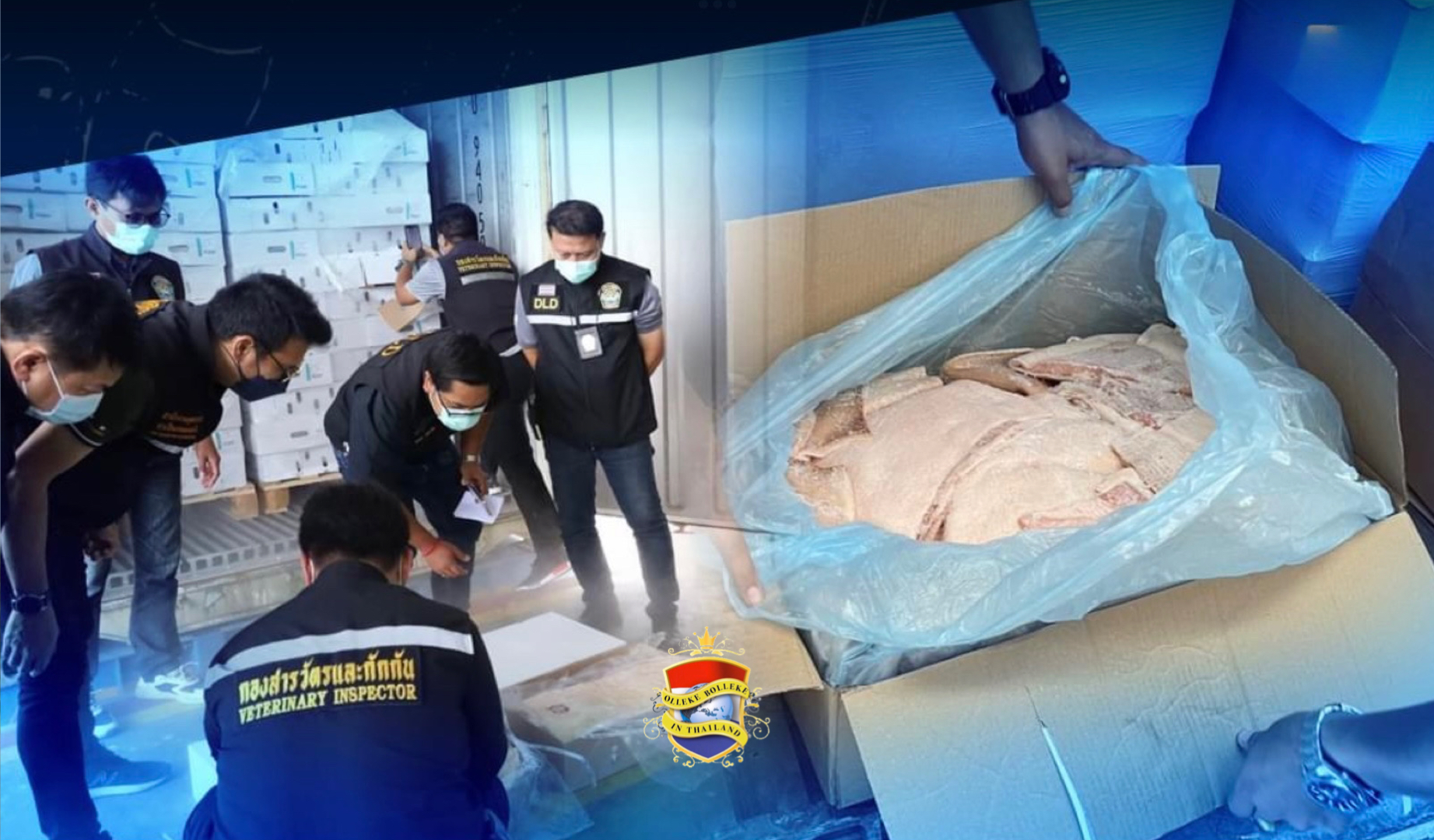 Douane van de van Laem Chabang heeft 4,3 miljoen kilo illegaal geïmporteerd bevroren varkensvlees in beslag genomen