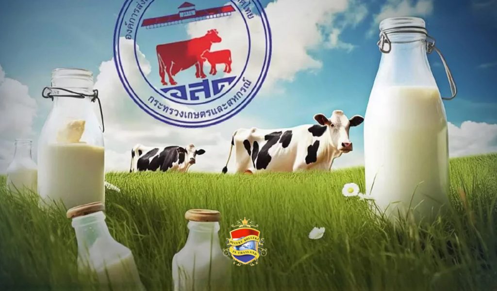 Het agentschap voor zuivel in Thailand zegt dat de melkconsumptie in het land 6,2 keer onder het wereldgemiddelde ligt