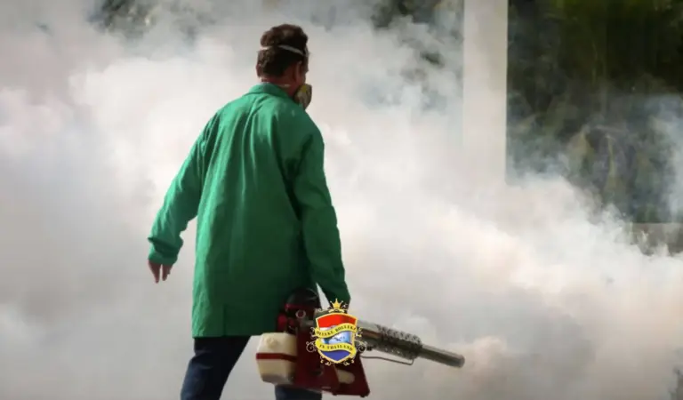 Thailand telt dit jaar al méér 19.000 dengue infecties 