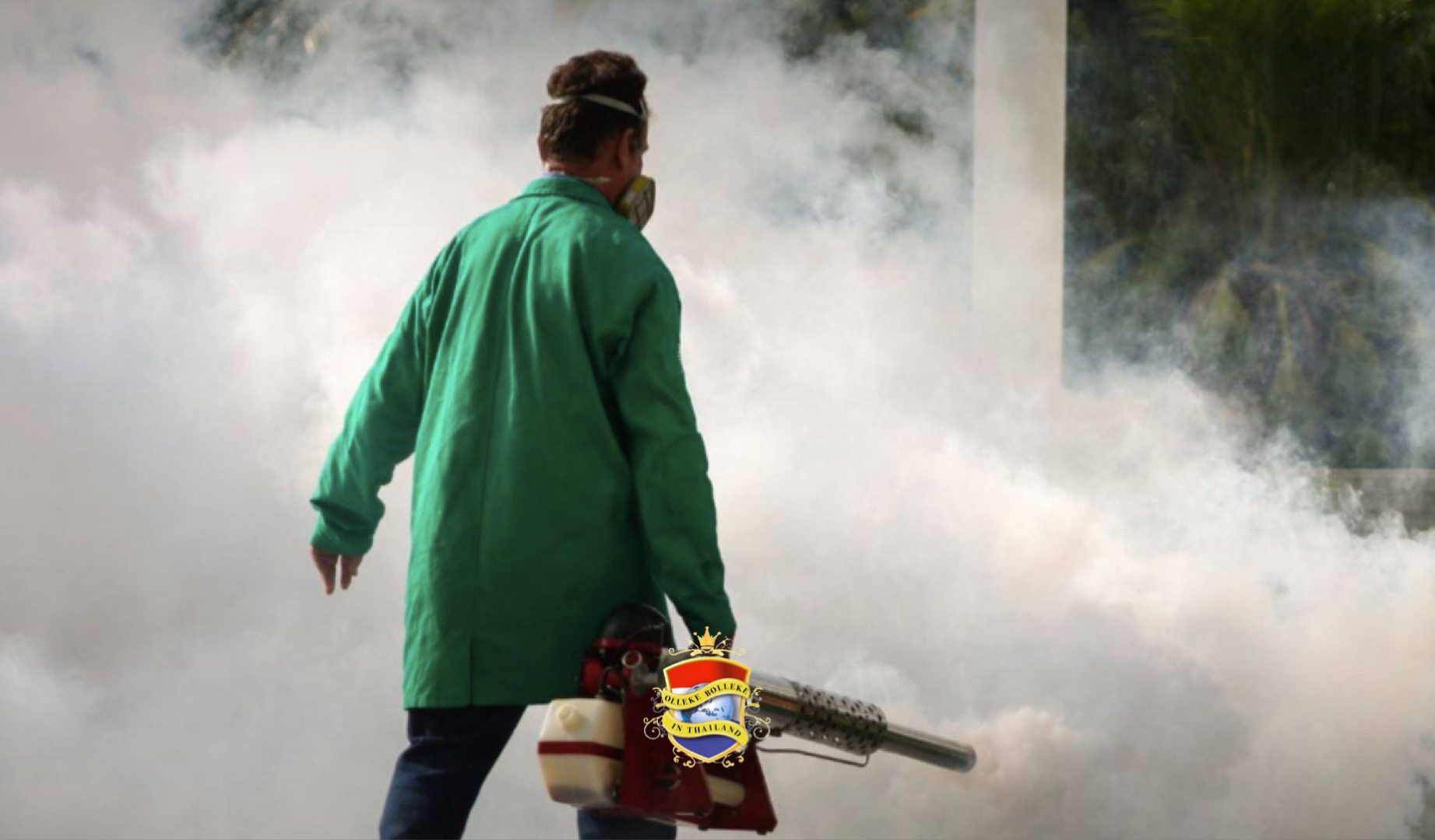 Thailand telt dit jaar al méér 19.000 dengue infecties 