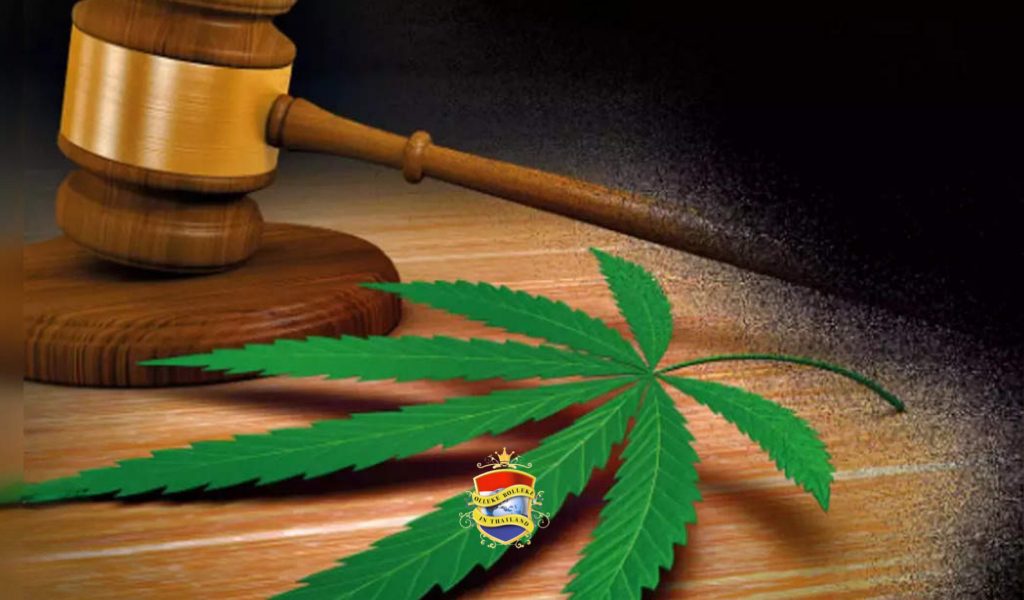 Ministerie van Volksgezondheid Thailand verdedigt cannabis en waarschuwt nieuwe regering om het niet opnieuw strafbaar te stellen