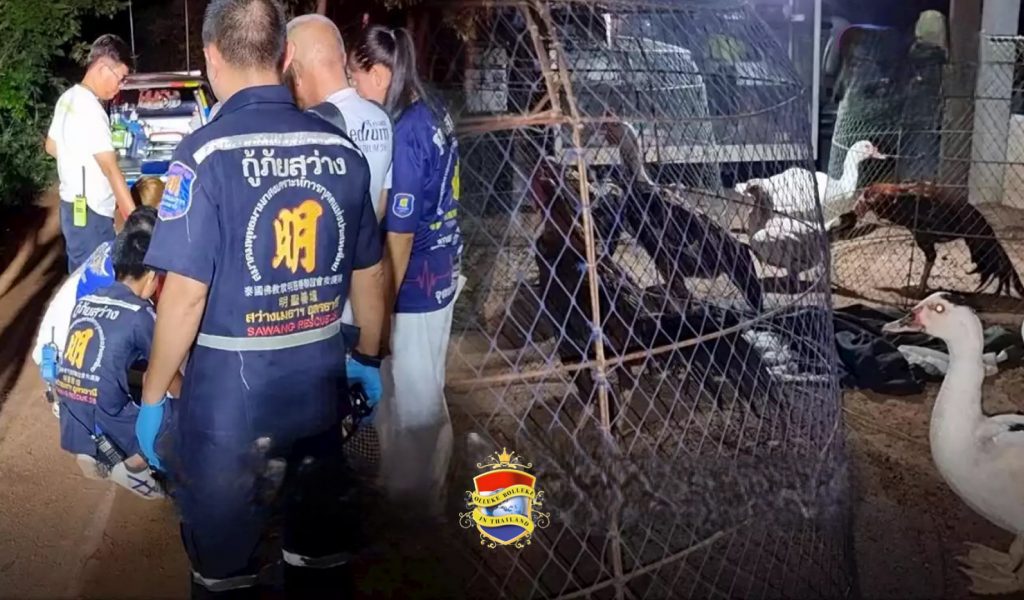 Thaise man in Noordoost-Thailand steekt zijn stiefzoon dood vanwege vermiste kemphanen 