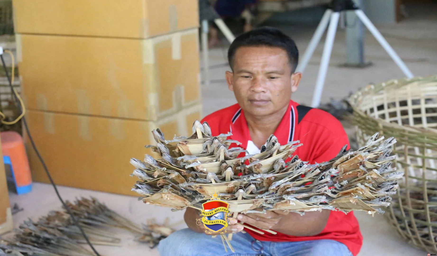 Dorp in Noordoost-Thailand profiteert tijdens het warme seizoen van de export van tokay-gekko’s naar China