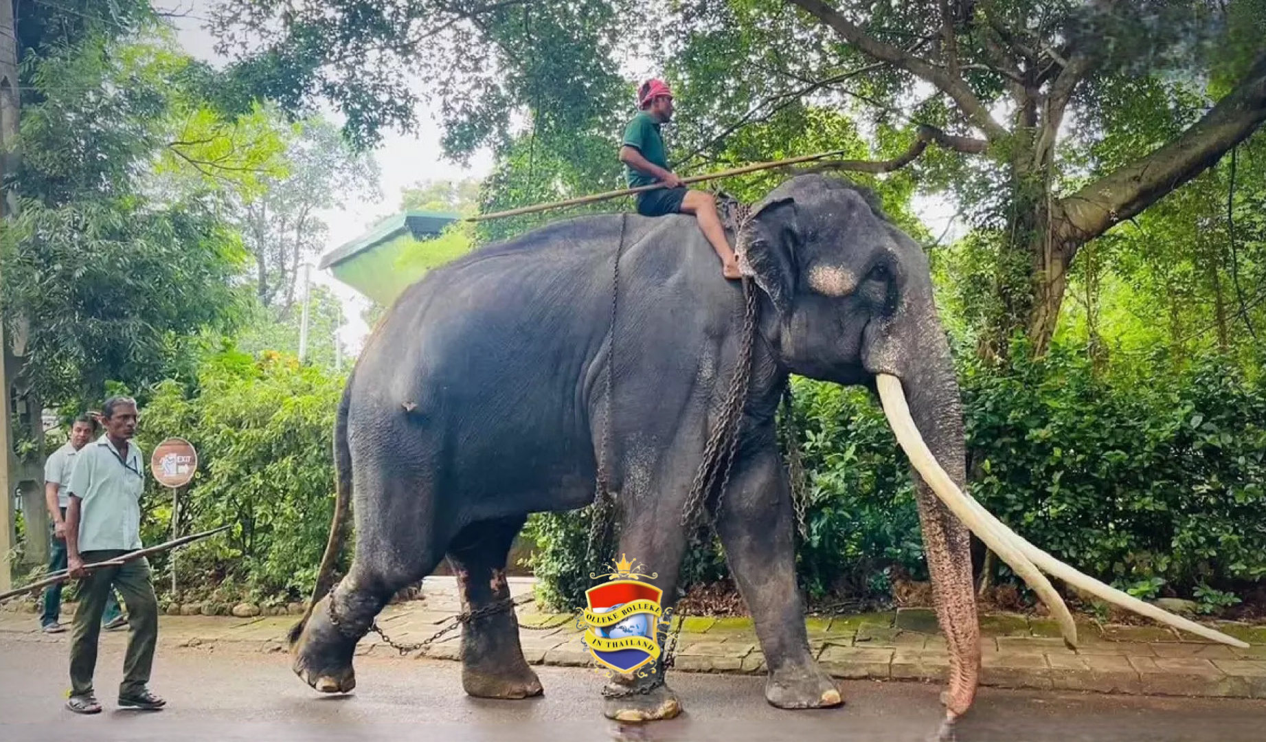 Plai Sak Surin vliegt komende zondag 1e klas vanuit Sri Lanka terug naar Thailand