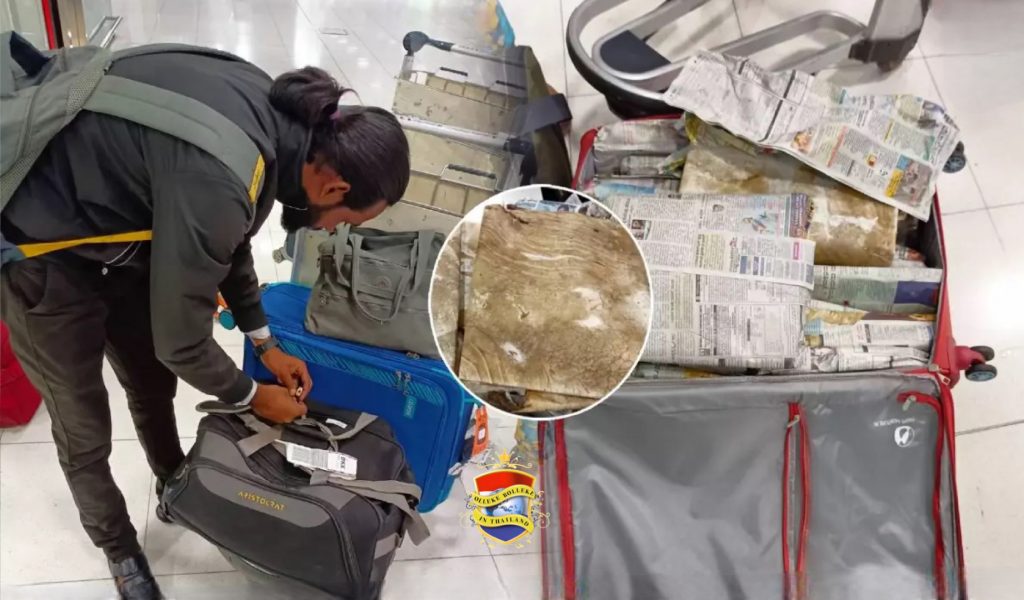 Indiase man op luchthaven Suvarnabhumi betrapt met 200 kilo lichaamsdelen van dieren in zijn bagage