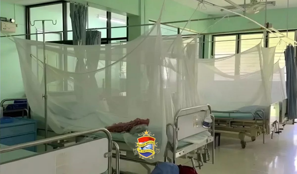 Dengue-uitbraak treft dorp in Noord-Thailand met meer dan 100 gevallen