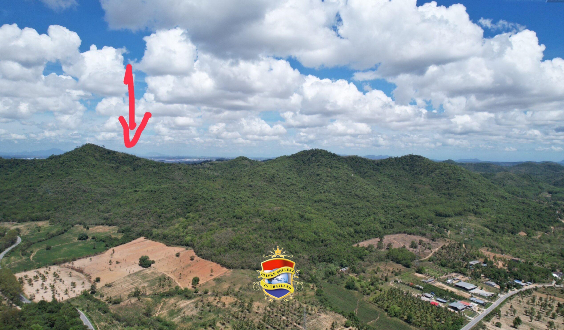 Thaise vogelaar raakt in Chonburi het spoor bijster, wat leidt tot een uitgebreide zoekactie