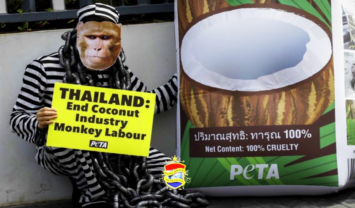 De voortdurende PETA-campagne schaadt de kokosnoot-boeren in Thailand