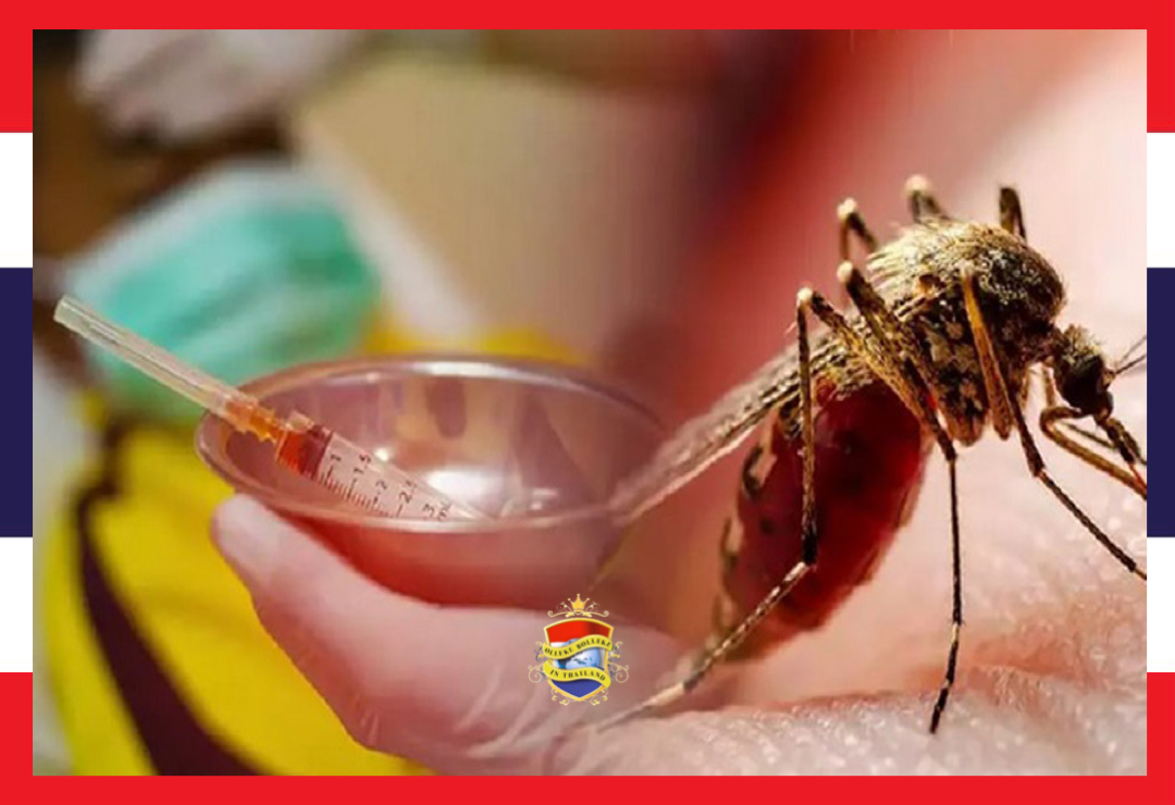 De toename van het aantal dengue gevallen in Thailand is groter dan verwacht