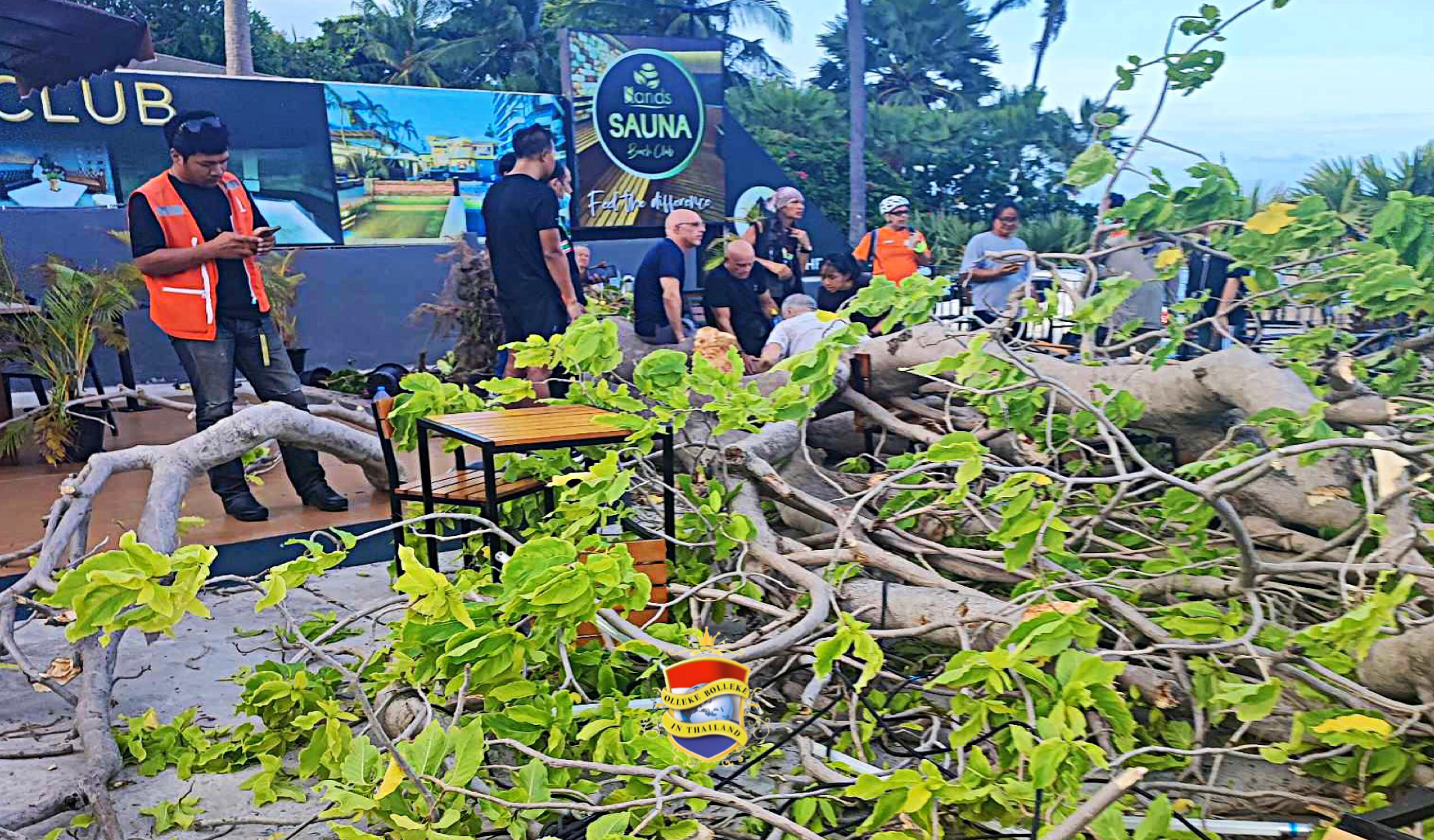Buitenlandse man raakt gewond wanneer een grote boom in Soi 5 van de Pratumnak Road op hem viel
