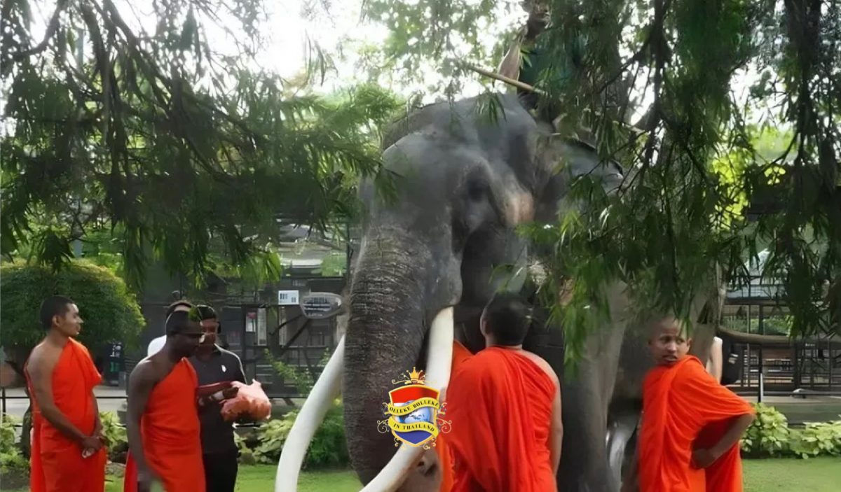 Zieke Thaise olifant voor een veilige vliegreis vanuit Sri Lanka naar Thailand door monniken gezegend