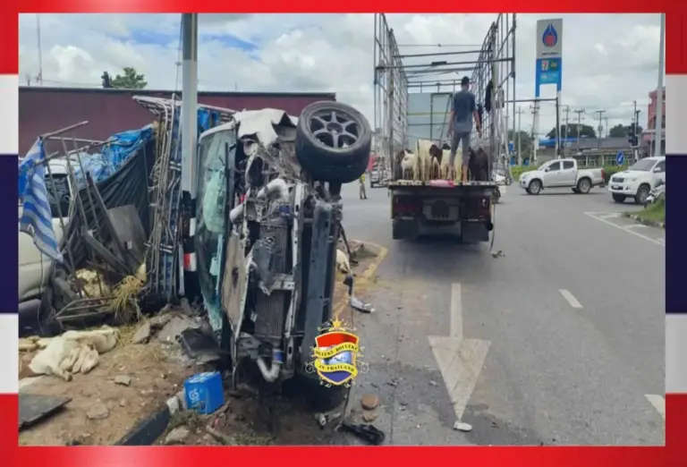 Vrachtwagen rijdt in Noordoost-Thailand door bij rood verkeerslicht, 35 geiten dood