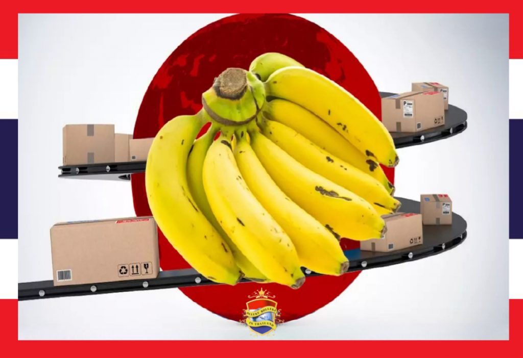 De Thaise bananen-express raast in sneltreinvaart in de richting van het land van de rijzende zon