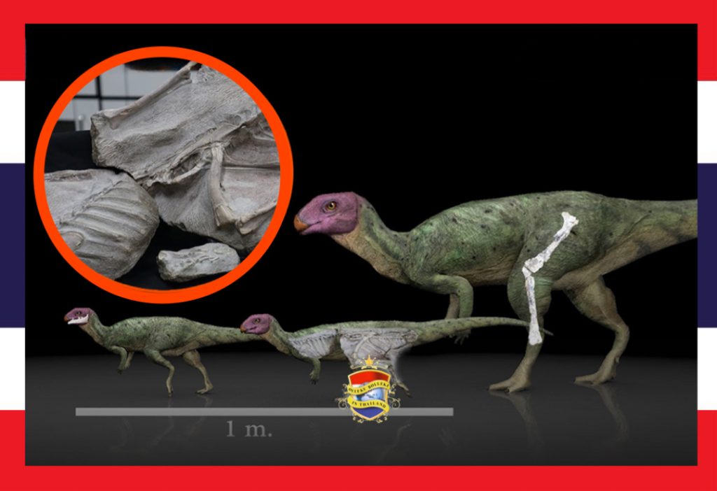 Bij de archeologische vindplaats Phu Noi in de provincie Kalasin, Thailand zijn botten van een dinosaurus gevonden