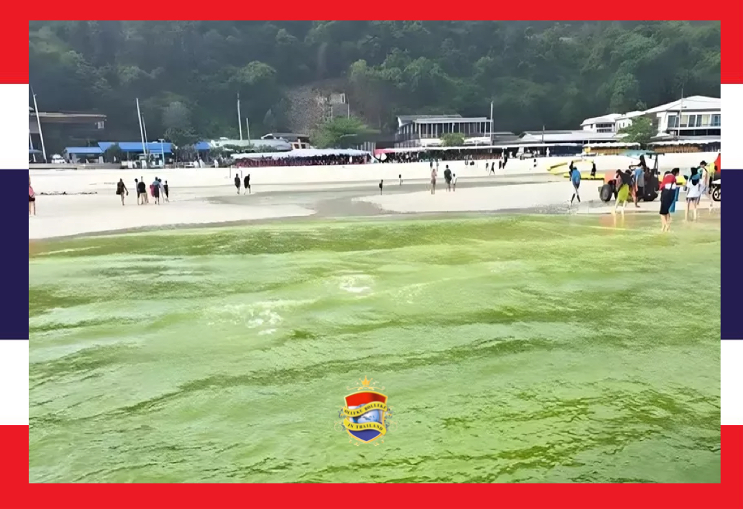 Het rioolwater van Koh Larn wordt verantwoordelijk geacht voor het groen gekleurde zeewater rond het eiland