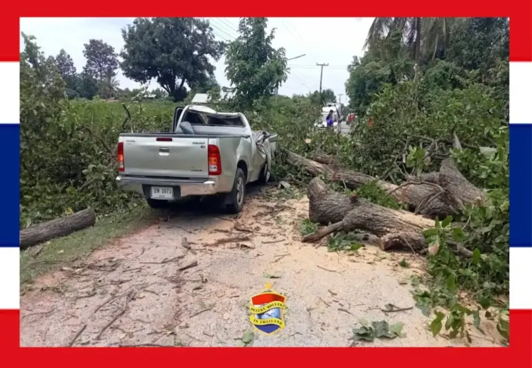 Omgehakt tamarindeboom in Khon Kaen, valt de verkeerde kant op en doodt een automobilist en verwondt zijn vrouw