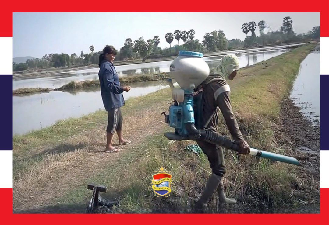 Het Koninklijke irrigatiedepartement van Thailand roept op tot dringende maatregelen om water te besparen