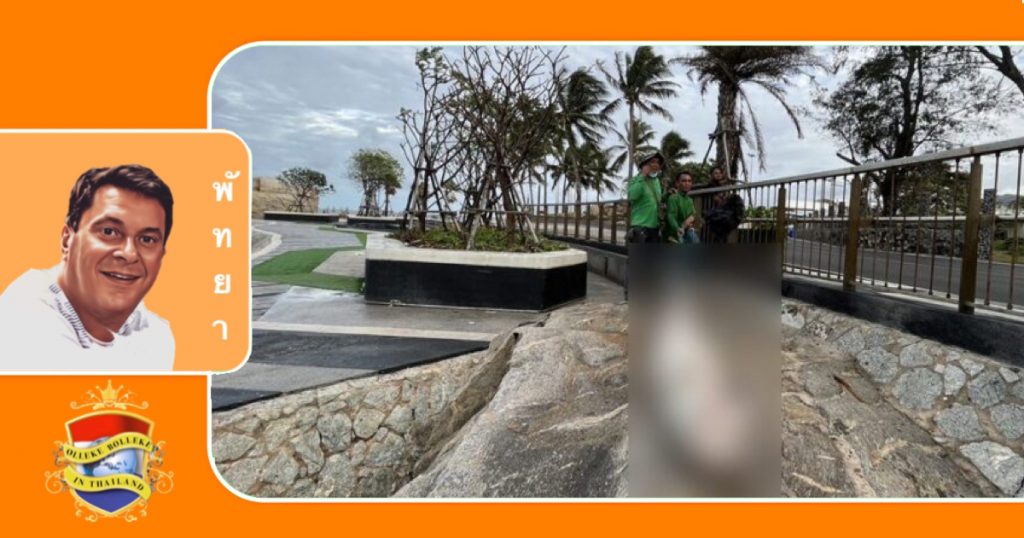 Dolfijntragedie: Verstrikt in een net en aangespoeld in Oost-Thailand 