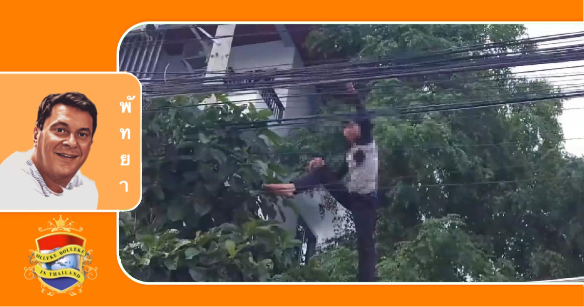 Gestreste restaurantmedewerker in Pattaya van hoogspanningskabels gered, het had behoorlijk schokkend kunnen zijn