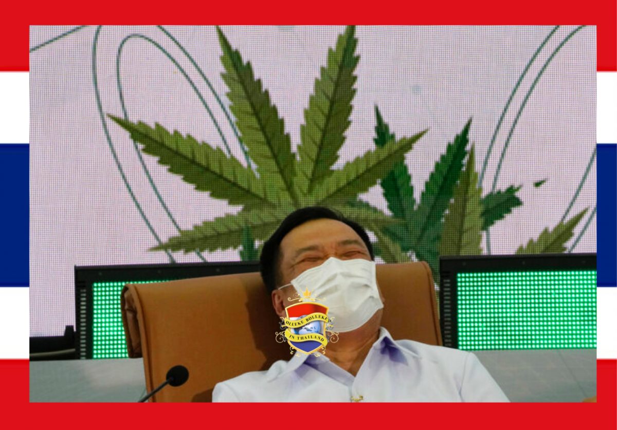 Het Thaise Hooggerechtshof wijst de cannabiszaak tegen voormalig minister van Volksgezondheid Anutin af
