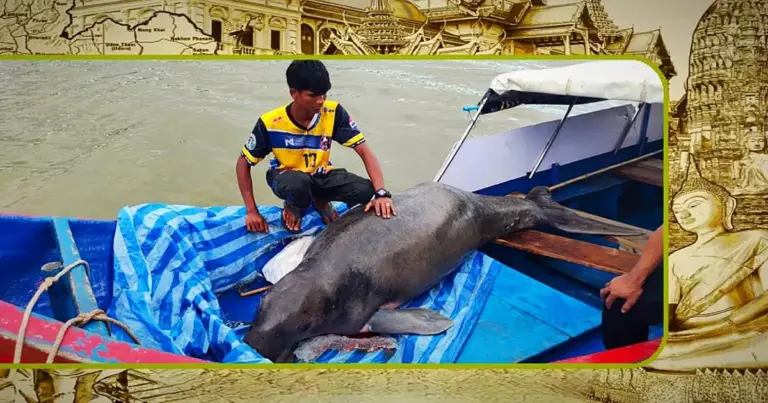 Grote doejong op het Ban Ko Raya-strand van Satun in Zuid-Thailand aangespoeld 