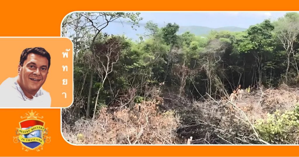 Bedrijven pikken land op het eiland Koh Larn in, de stad Pattaya pikt dat op hun beurt onder geen beding