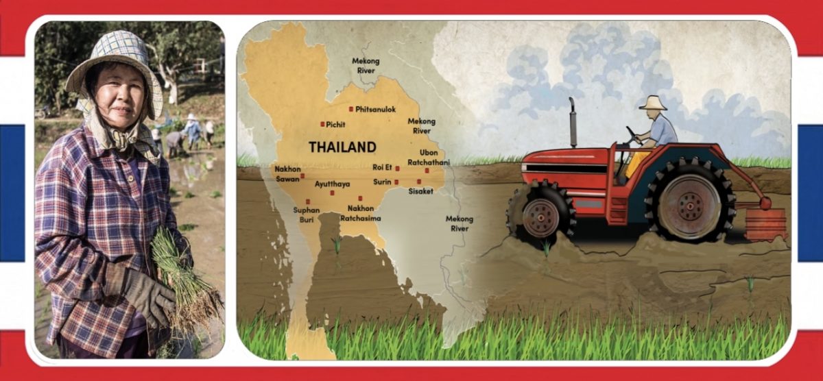 Rijstboeren in Thailand zitten op ‘zwart zaad’ en hebben moeite om het hoofd boven water te houden