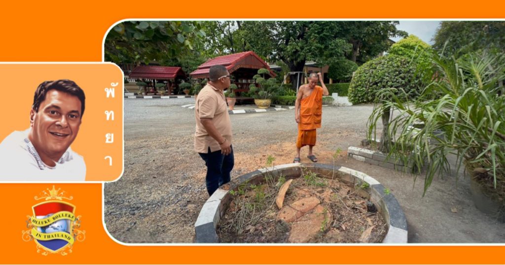 Oud smaragdgroen boeddhabeeld komt bij het omhakken van een mangoboom bij een tempel in Chonburi te voorschijn