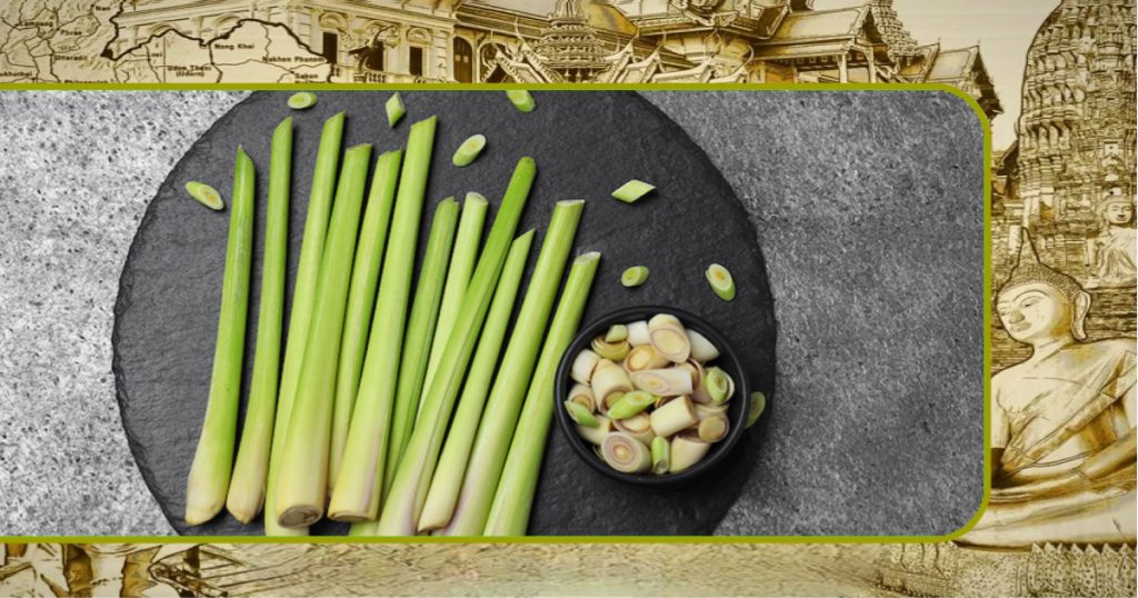 Supergoed voor uw lichaam: ontdek al het moois van citroengras