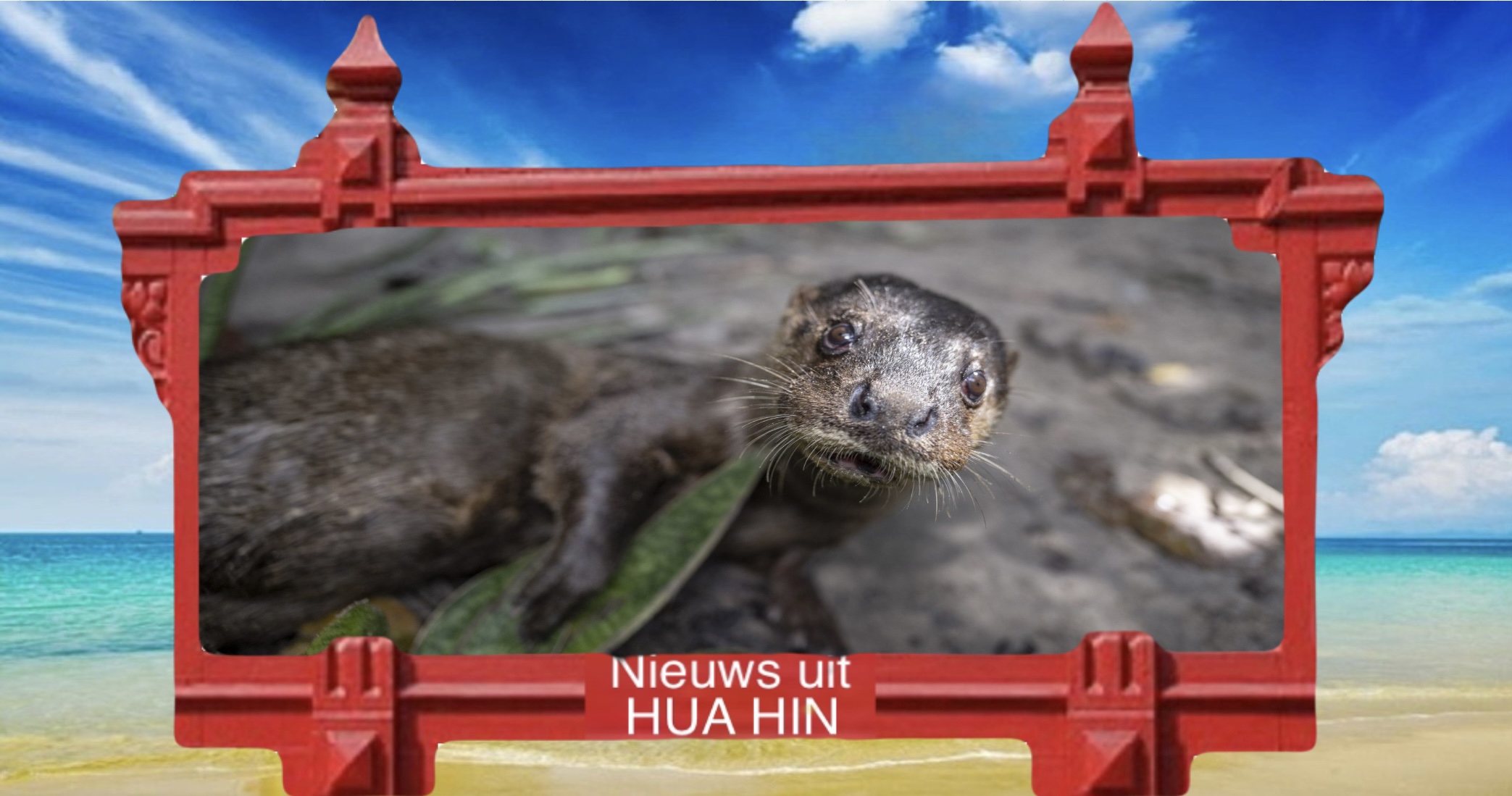 Het natuurreservaat Phetchaburi verwelkomt de zeldzaamste otter ter wereld