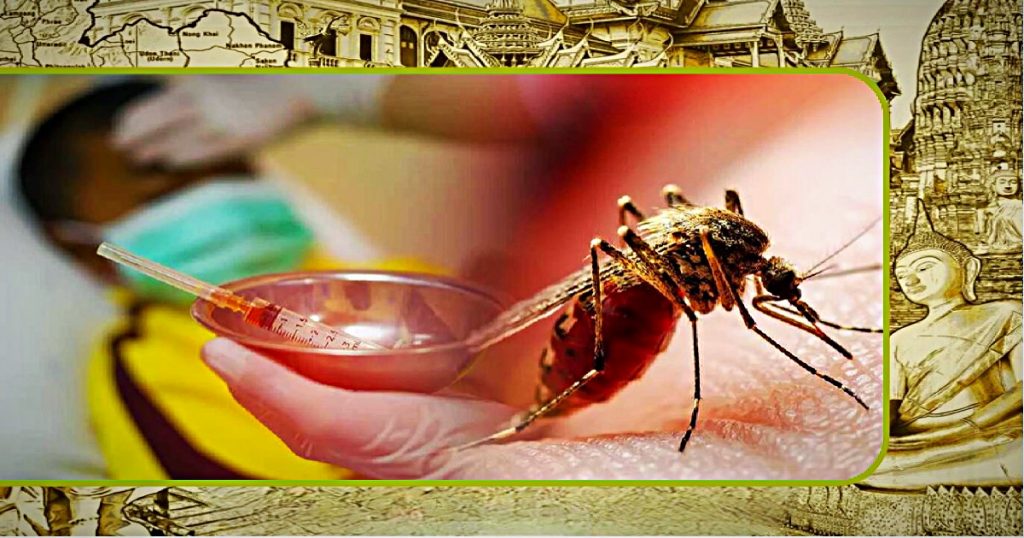 De knokkelkoorts in Thailand is dit jaar met 300% gestegen